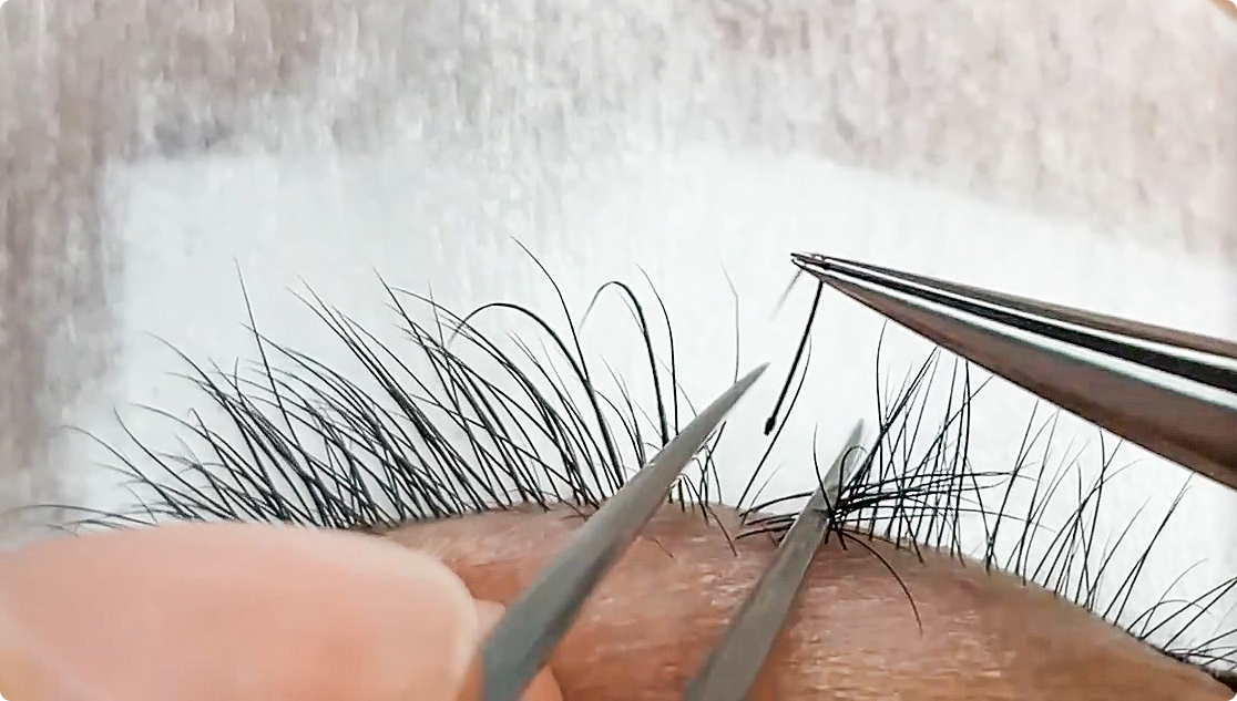 Single lash extensions deals