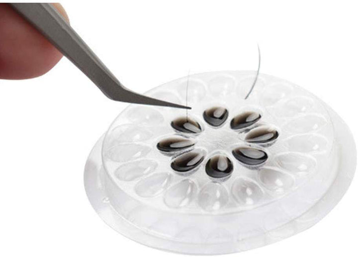 Eyelash Glue Holder (50 pcs)