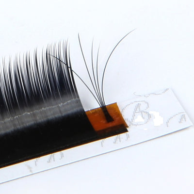 Camellia Lash