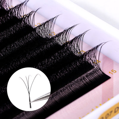 W-Shape Eyelash Extensions - 5D, 0.07mm