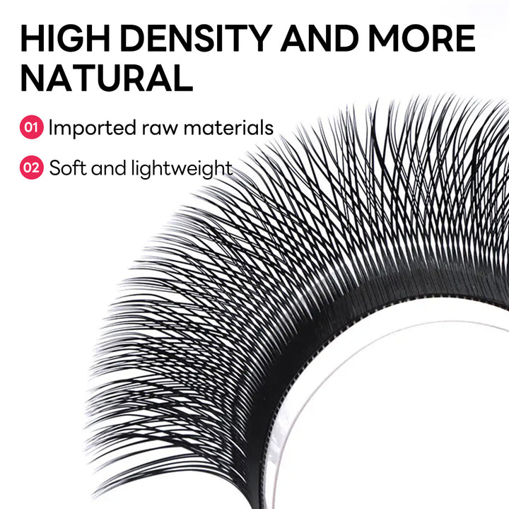 YY Lashes Plus-Capacity